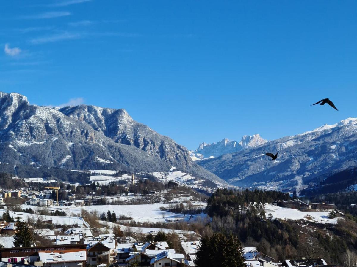 Ferienwohnung Terrazza Sulle Dolomiti Castello-Molina di Fiemme Exterior foto